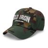 classic-dad-hat-green-camo-left-front-626aa0664e446.jpg
